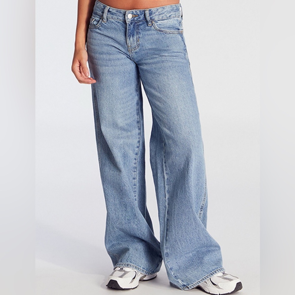 Pacsun Casey Astrid Low Rise Baggy Jeans